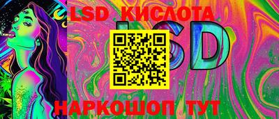 СК Дмитров