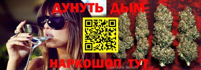 гидропоника Долгопрудный