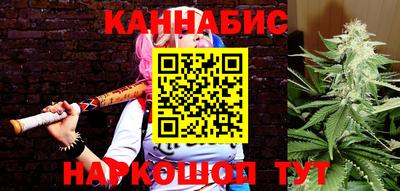 СК Дмитров