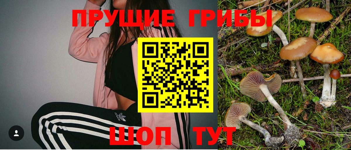 Галлюциногенные грибы мицелий Домодедово