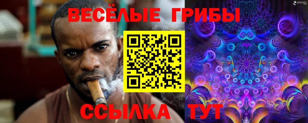 Галлюциногенные грибы GOLDEN TEACHER  Вход с VPN  Домодедово 
