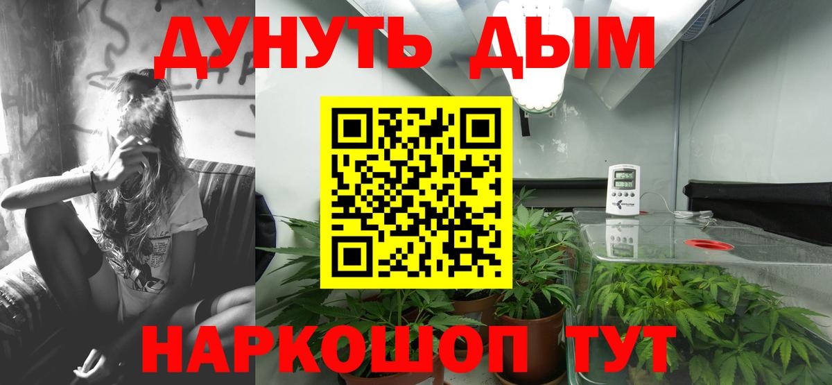Домодедово  Каннабис сатива  Бошки марихуана семена  МАРИХУАНА планчик  Шишки марихуана MAZAR  Вход с VPN 